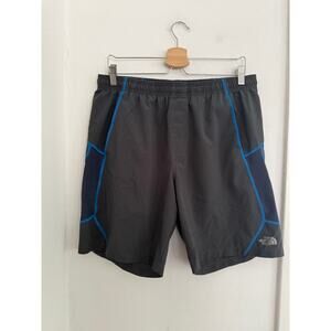 The North Face Flashdry Men's Gray Shorts | Size Large